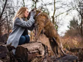 Dog mom with beloved dog